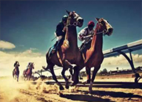 比競爭對手略勝一籌